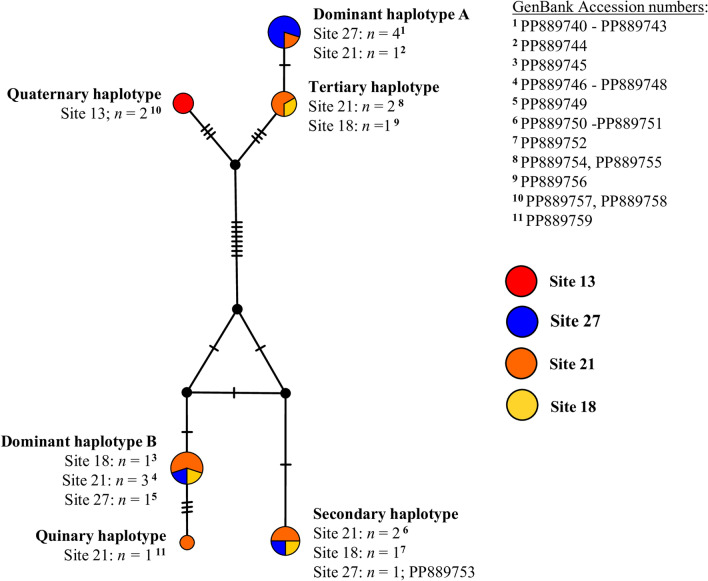 Fig. 6