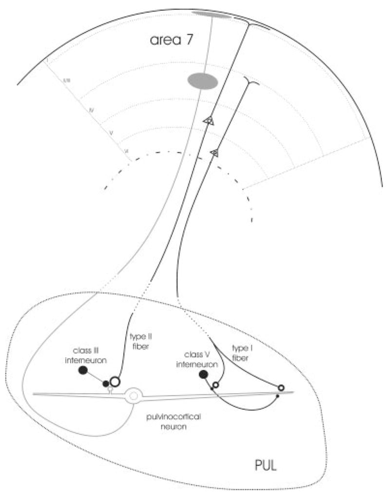 Fig. 17