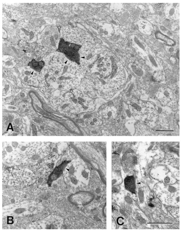 Fig. 13