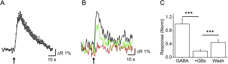 Fig. S1.