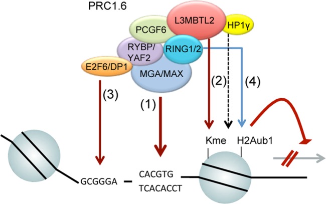 Fig 9