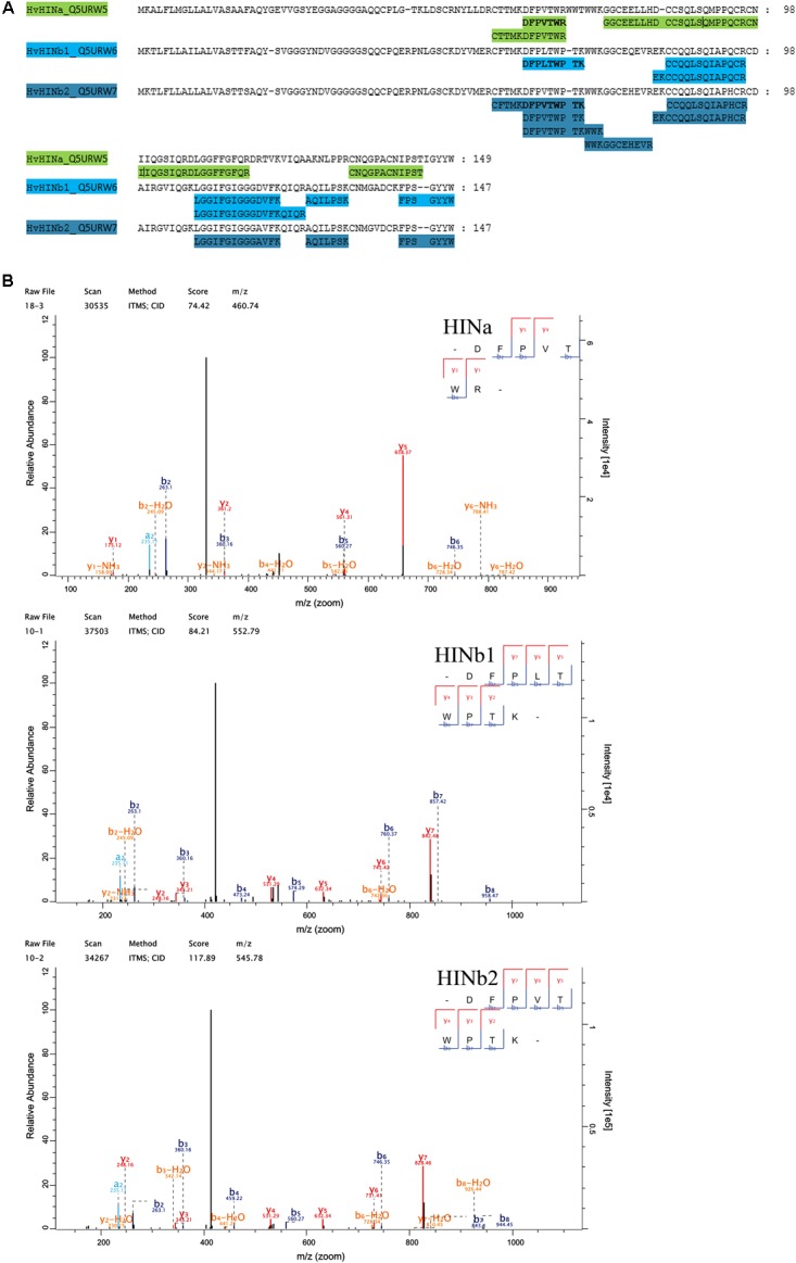 FIGURE 2