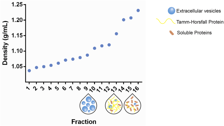 Figure 9