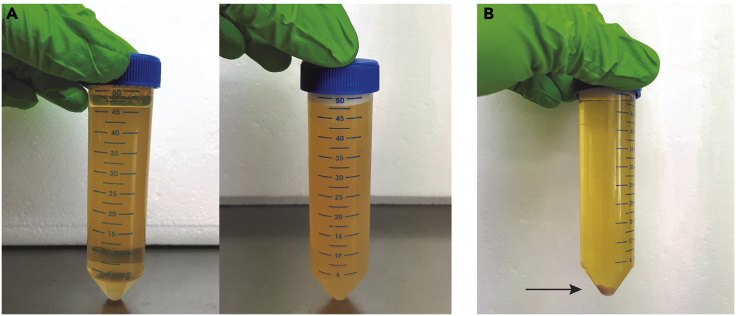 Figure 4