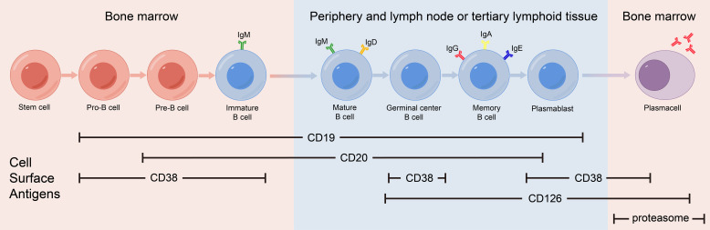 Figure 1