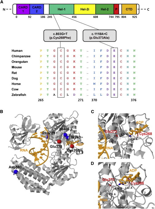 Figure 2