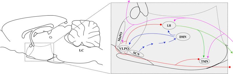 Fig. 3