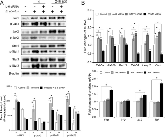 FIG 6