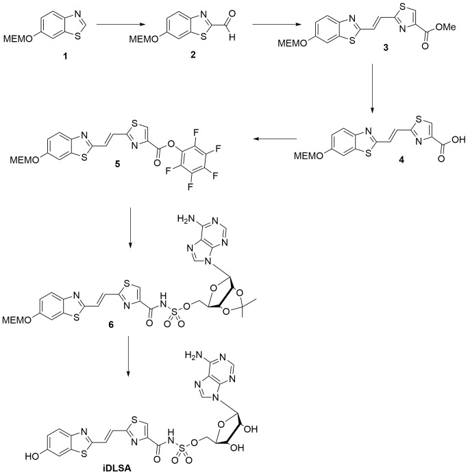 Figure 1—figure supplement 1.