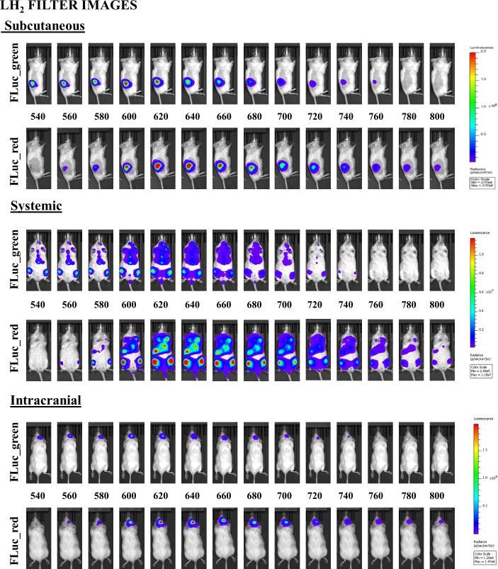 Figure 3—figure supplement 2.