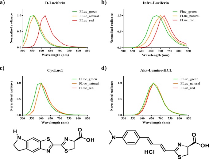 Figure 2—figure supplement 1.