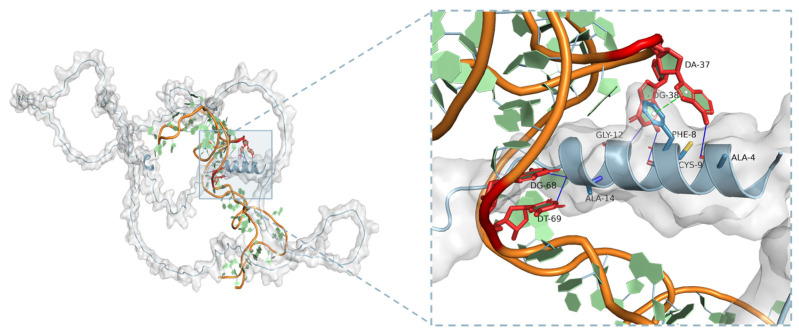 Figure 5