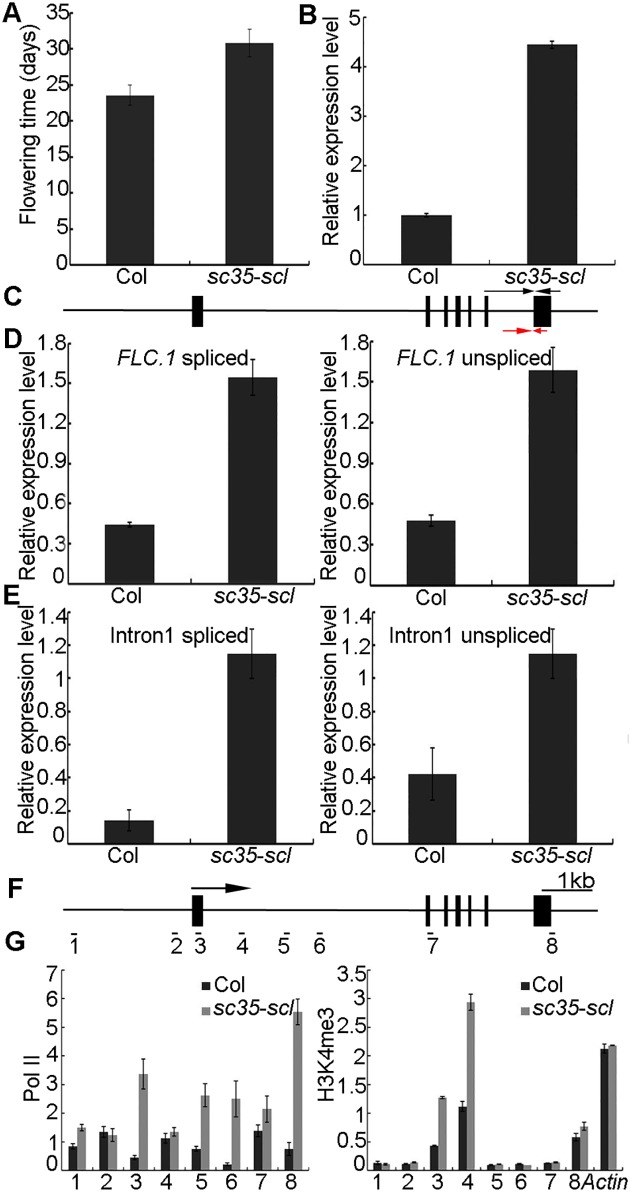 Fig 10