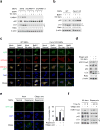 Extended Data Figure 2