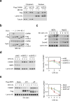 Extended Data Figure 3