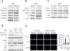 Extended Data Figure 1