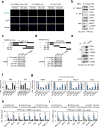 Extended Data Figure 7