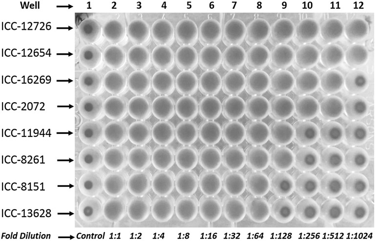 Fig. 2