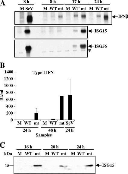 FIG. 7.