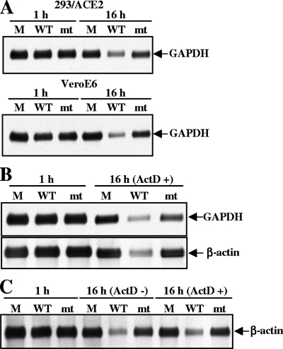 FIG. 5.