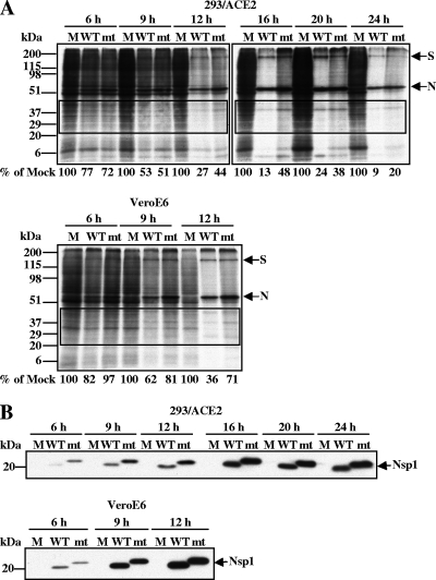 FIG. 6.