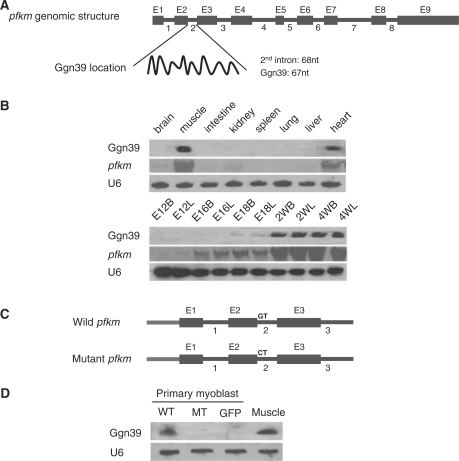 Figure 6.