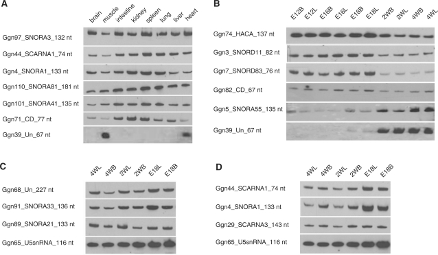 Figure 5.