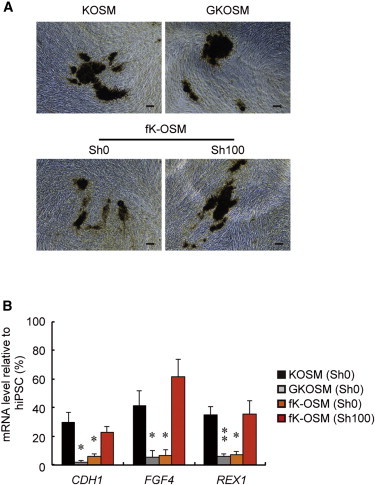 Figure 6