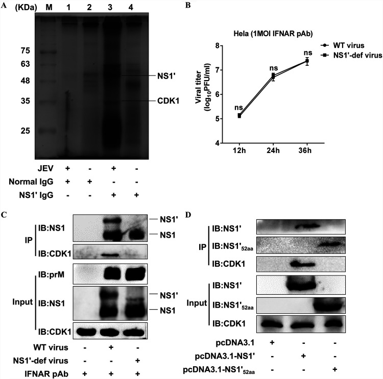 FIG 1