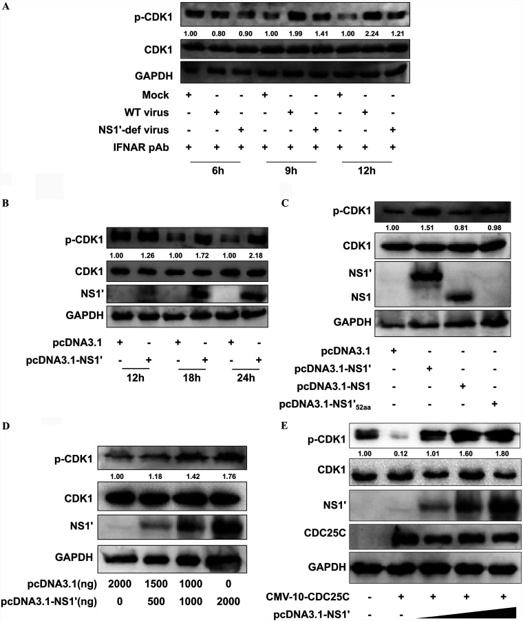 FIG 2