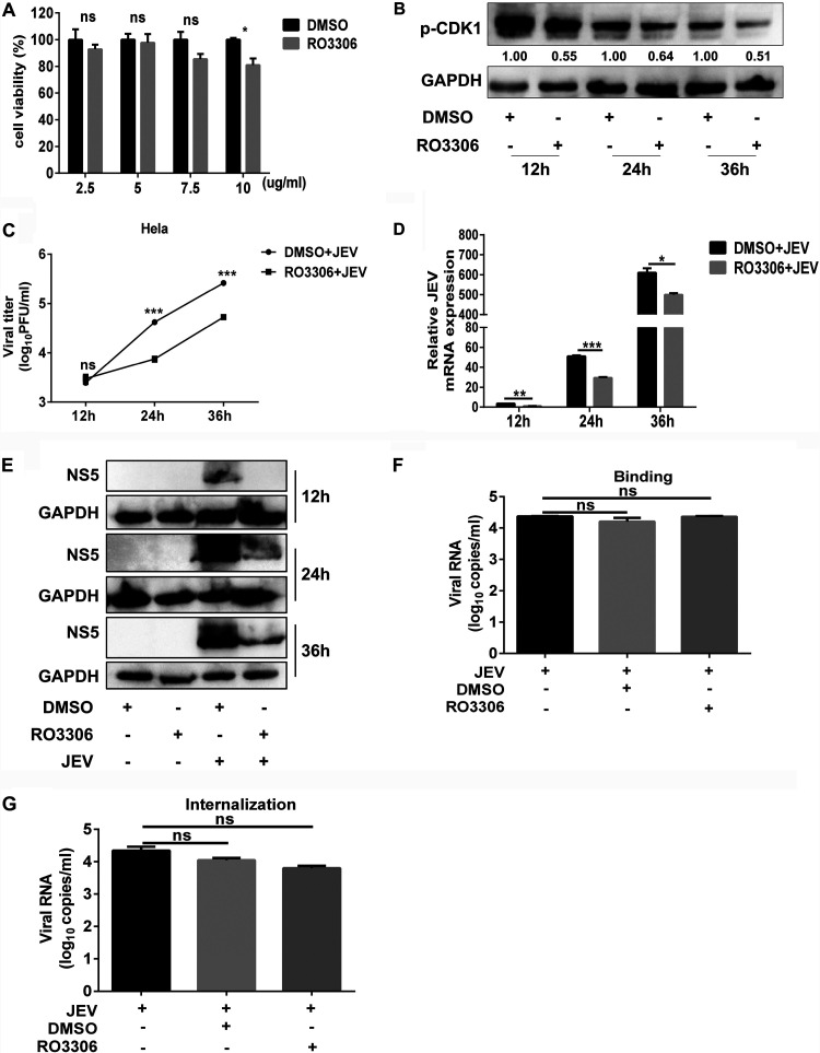 FIG 3