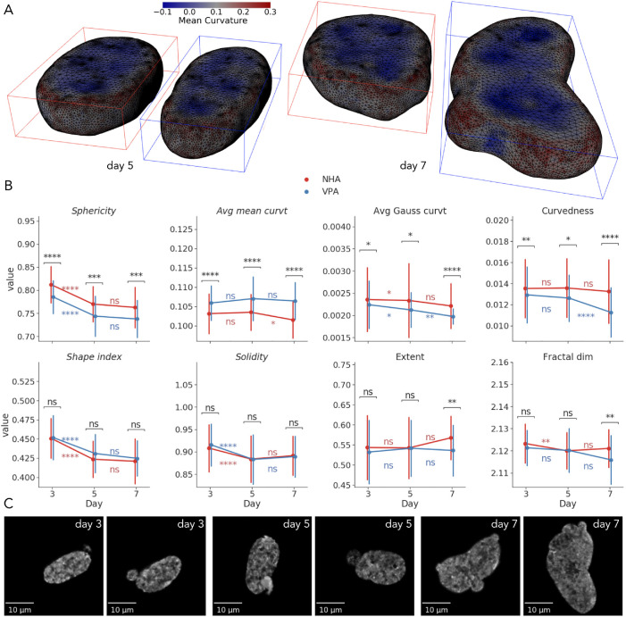 FIGURE 4: