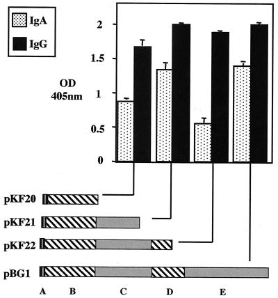 FIG. 6