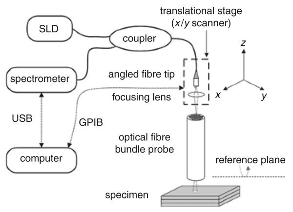 Fig. 1