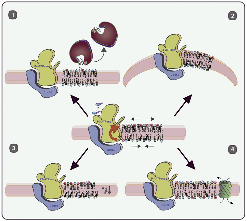 Figure 1.