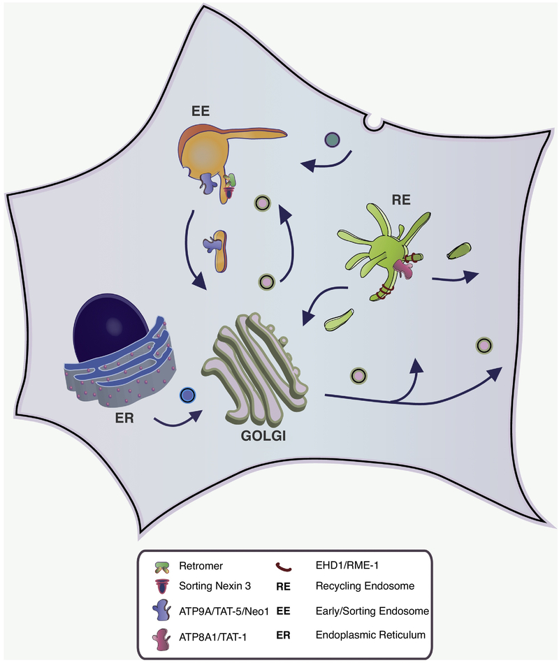 Figure 2.