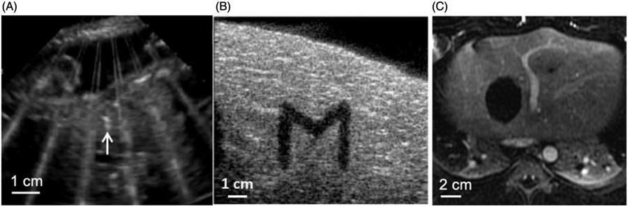 Figure 5.