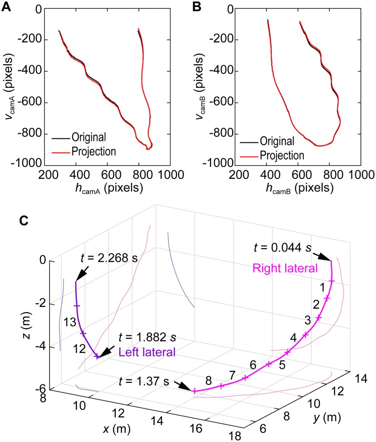 Fig 6