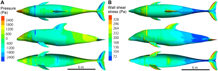 Fig 10