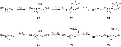 Scheme 5