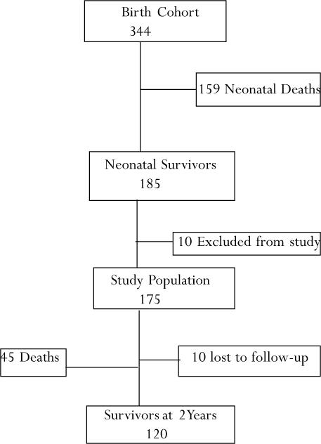 graphic file with name AFHS0702-0108Fig1.jpg