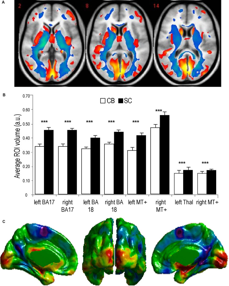 FIGURE 3