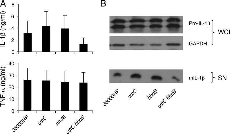 Fig 4