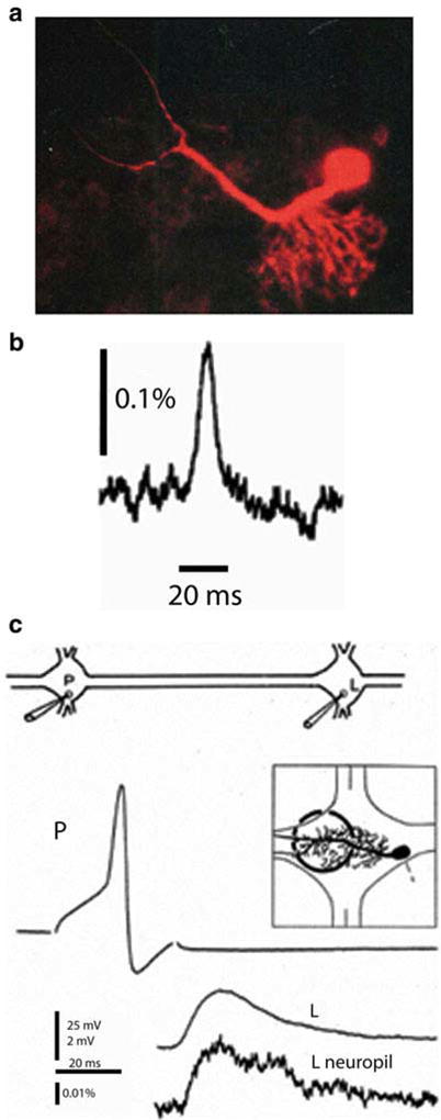 Fig. 3.2