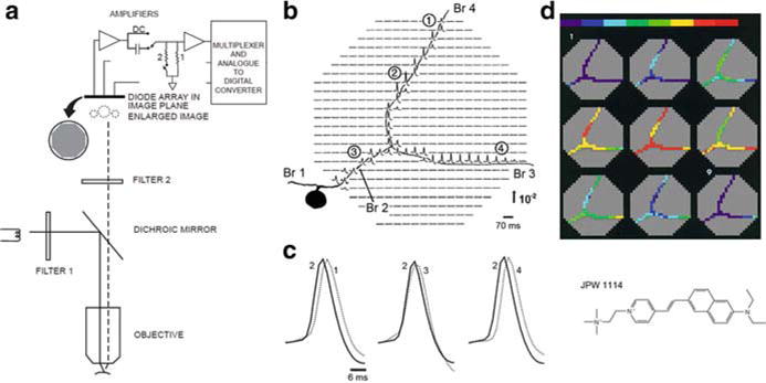 Fig. 3.3