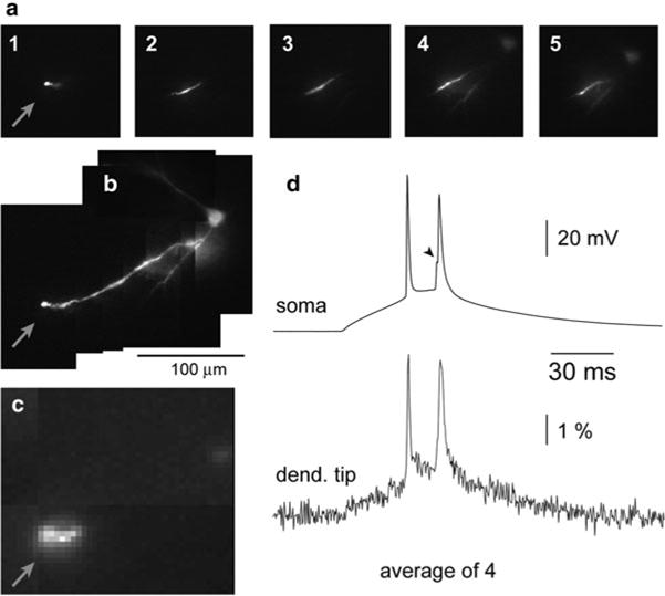 Fig. 3.19