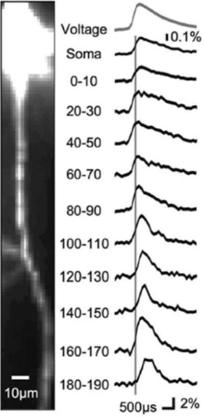 Fig. 3.9