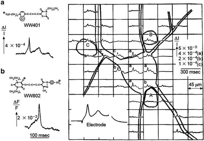 Fig. 3.1