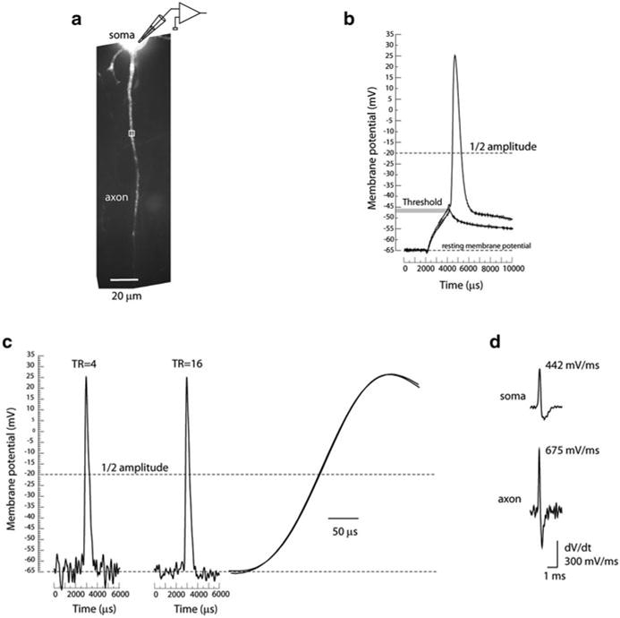 Fig. 3.13