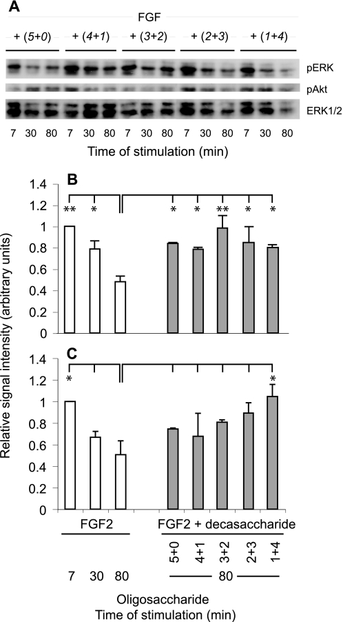 FIGURE 9.